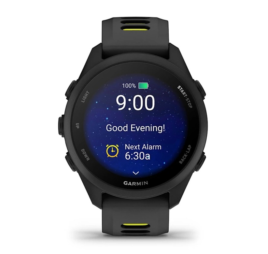 Спортивные часы Garmin Forerunner 170